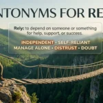 Educational illustration showing rely and its opposite concepts of distrust and independence