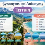 Educational comparison showing terrain, landscape, and contrasting land and water environments.