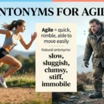 Antonyms for agile showing agile movement compared with slow, clumsy, and inflexible behavior